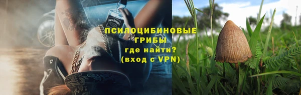 крисы Вяземский