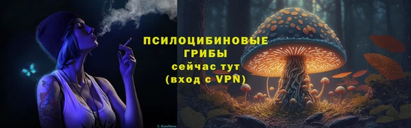 PSILOCYBIN Володарск