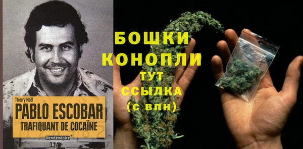 крисы Вяземский