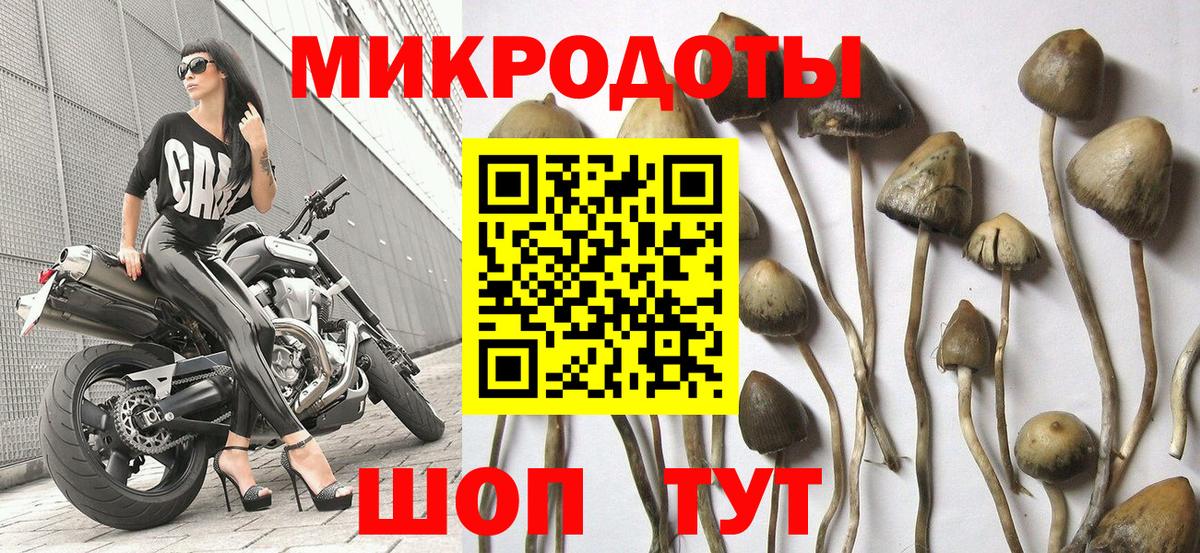 Галлюциногенные грибы мицелий Дивногорск