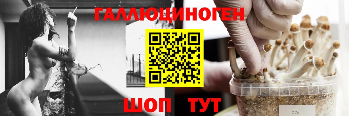 Галлюциногенные грибы Psilocybine cubensis  Вход с VPN  Дивногорск  Галлюциногенные грибы Cubensis 